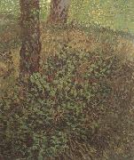 Vincent Van Gogh Undergrowth (nn04) France oil painting artist